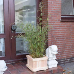 Bausatz Holzcontainer / Exclusive