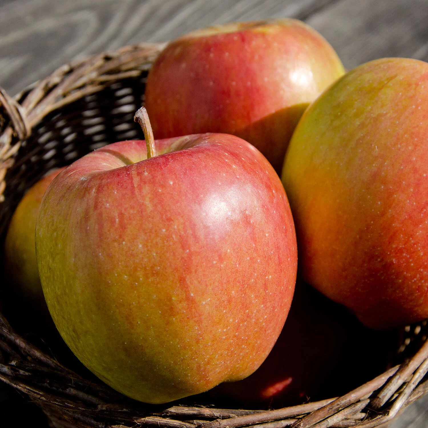 Malus Domestica 'Braeburn' 1 Malus Domestica 'Braeburn'