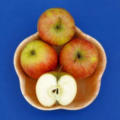 Malus Domestica 'Roter James Grieve' / 'Rubin'