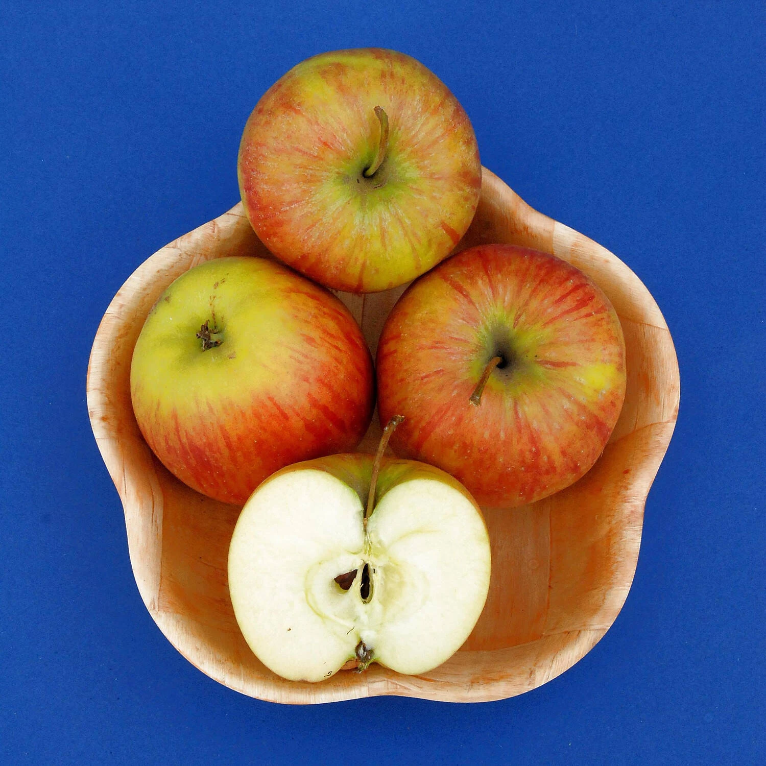 Malus Domestica 'Roter James Grieve' / 'Rubin' 1 Malus Domestica 'Roter James Grieve' / 'Rubin'