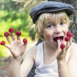 Rubus Idaeus 'Lucky Berry'® -Seeds and Fertilizers Geschäft rubus idaeus lucky berry4
