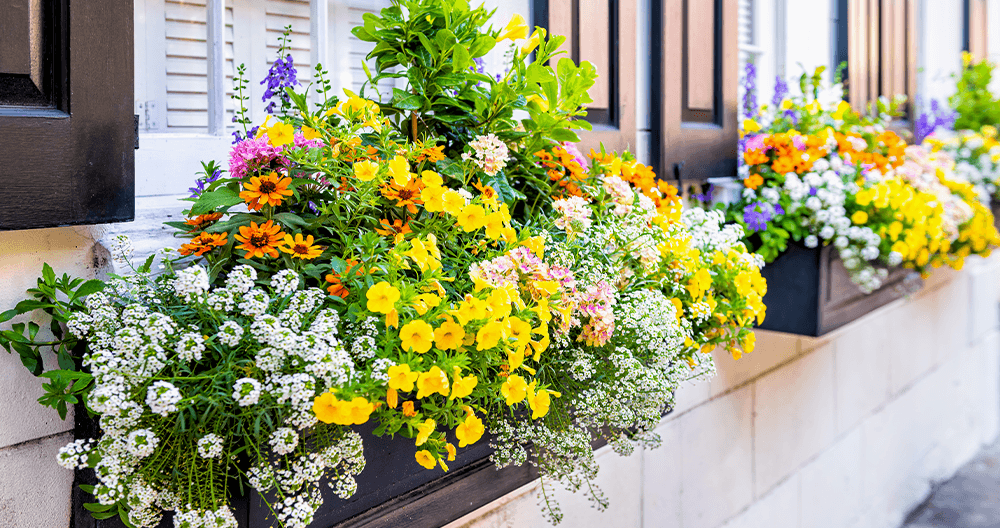 Titelseite 10 Titelseite -Seeds and Fertilizers Geschäft 11