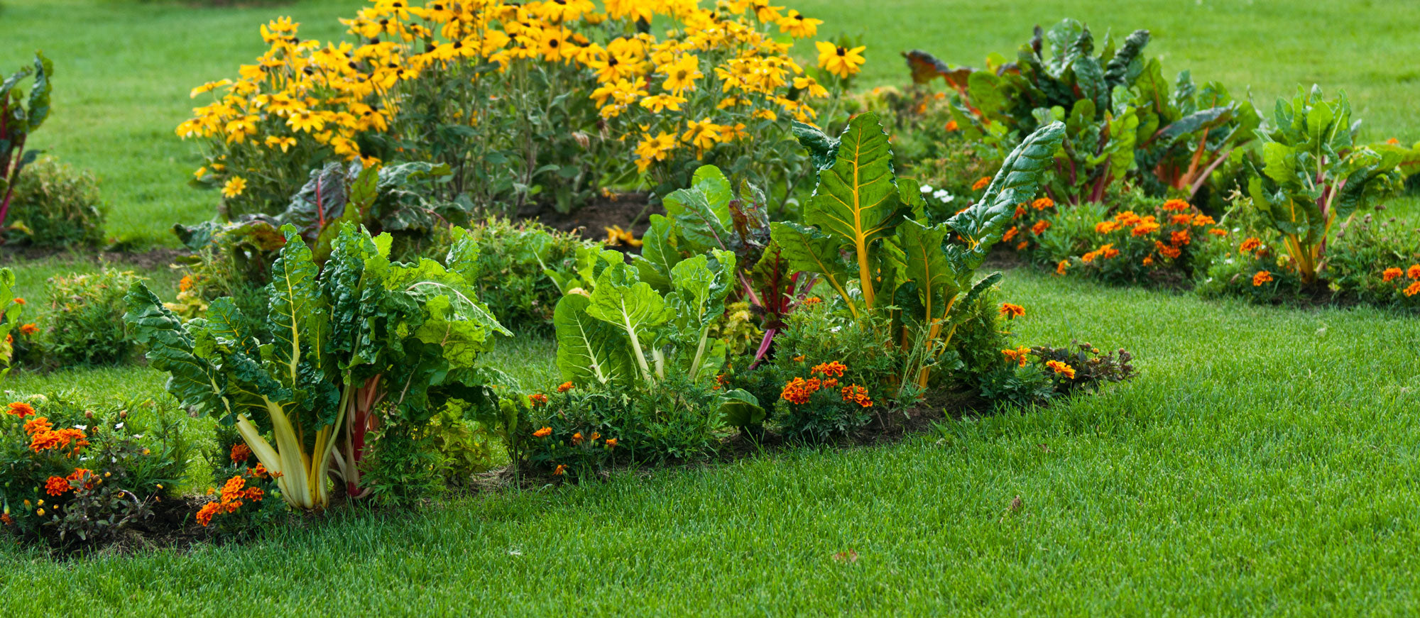 Titelseite 11 Titelseite -Seeds and Fertilizers Geschäft 53